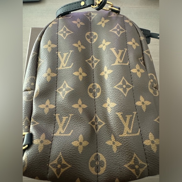 Louis Vuitton Palm Springs Mini Backpack Monogram - Picture 3 of 5